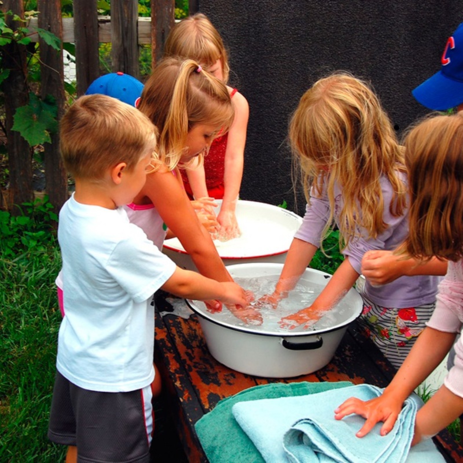 <?php echo pulse_output(); ?>